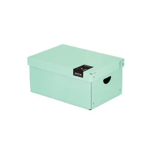 Laminatbox groß PASTELINI grün